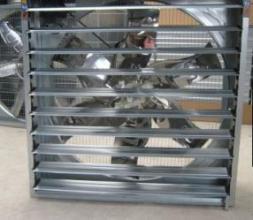 ����ؓ���L�C