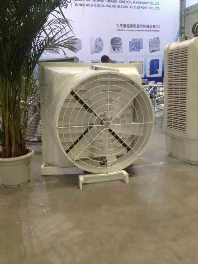 ����ؓ���L�C